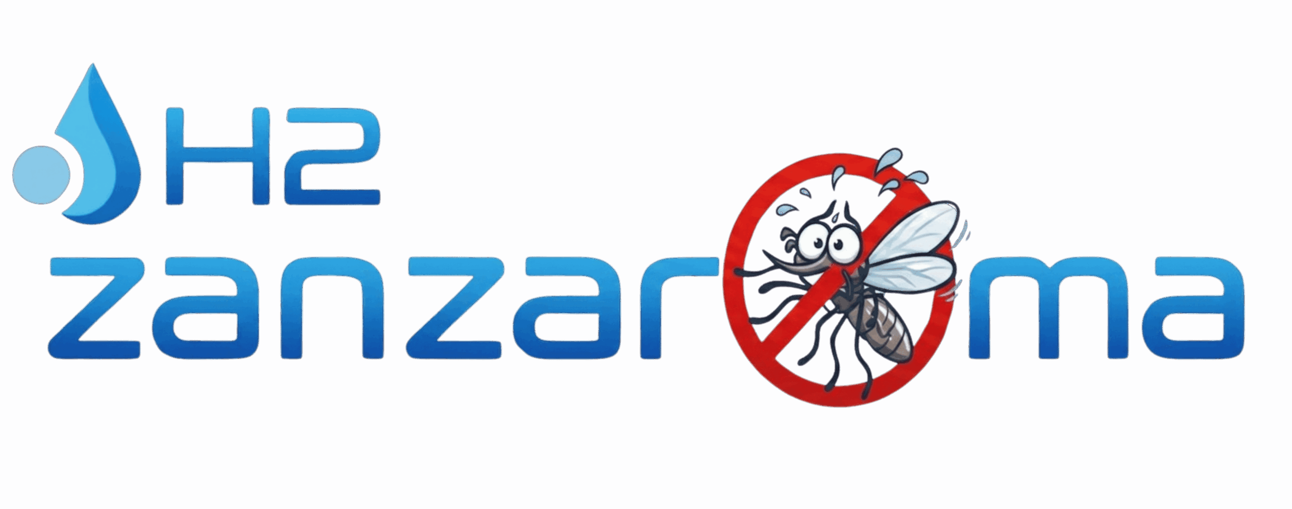 H2 ZanzaRoma